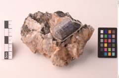 Foto von Apatit (NHMW-MIN-Aa813)